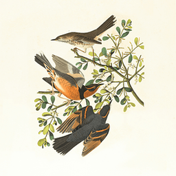 Damian WProfile picture